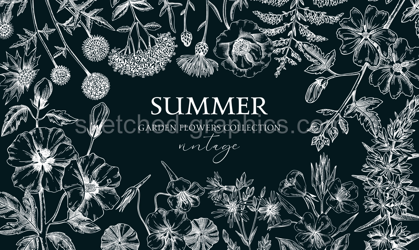Hand drawn summer background. Garden flowers frame design in sketch style. Botanical illustrations on chalkboard. Floral banner for prints, cards, posters Illustration